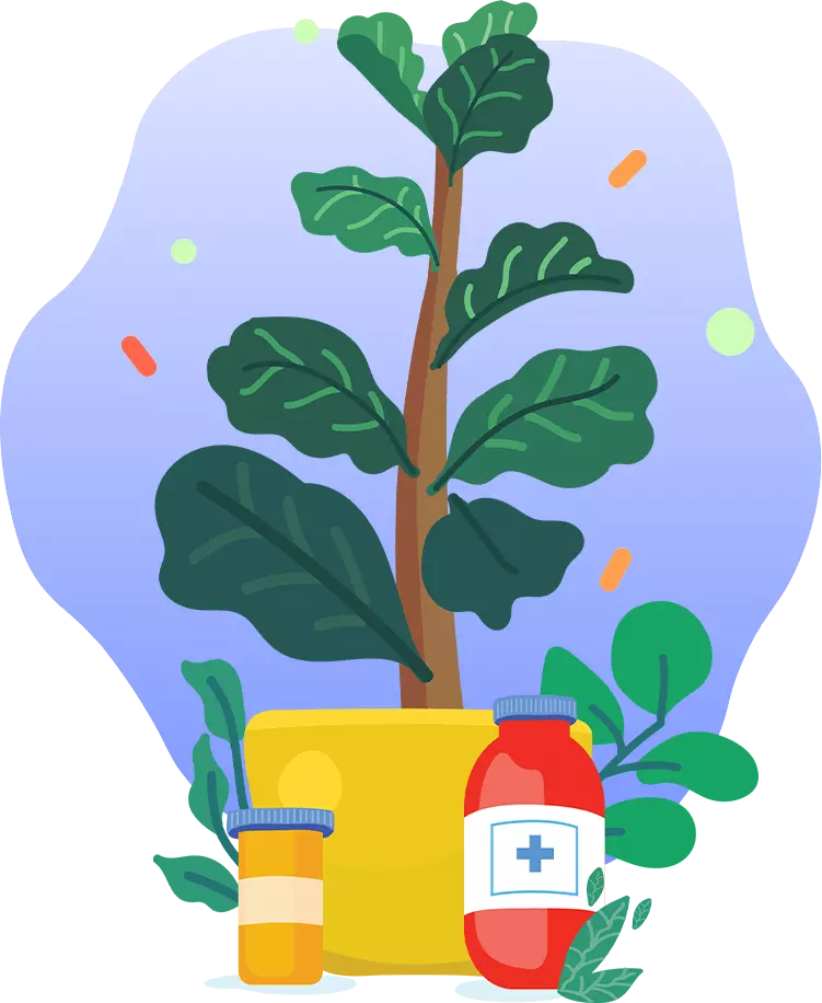 tree with medicine