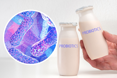image showing live probiotic strains next to two bottles of kefir